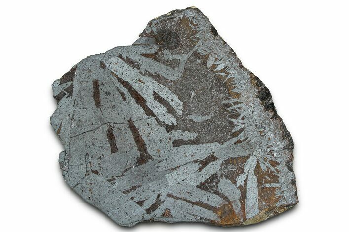 Polished Crystalline Hematite & Magnetite Slab - Nevada #371253